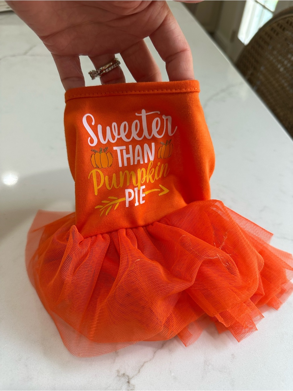 Sweeter Than Pumpkin Pie Orange Tutu Dog Dress